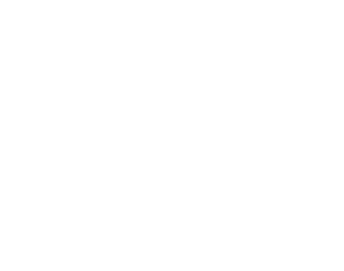 MG Digital